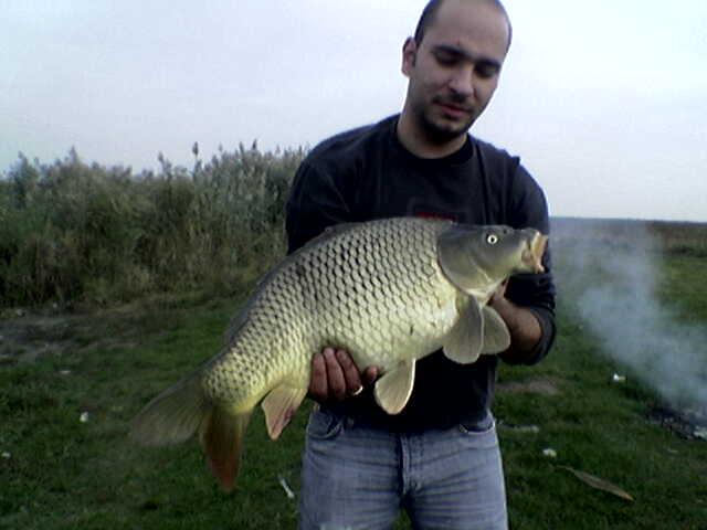 pescuit siret - BOTENI-28oct..jpg